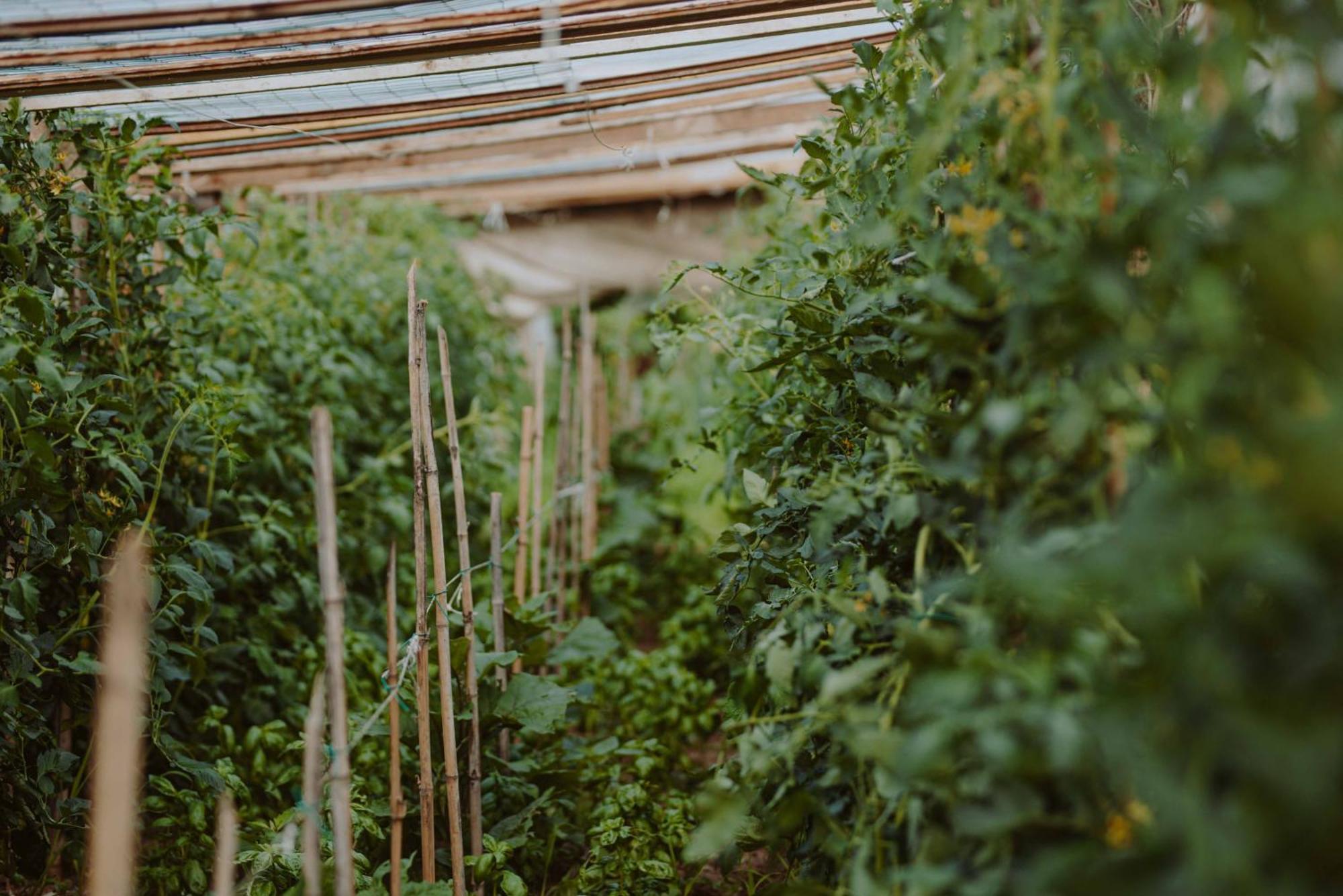Agriturismo Pratello 加达湖畔帕登赫 外观 照片